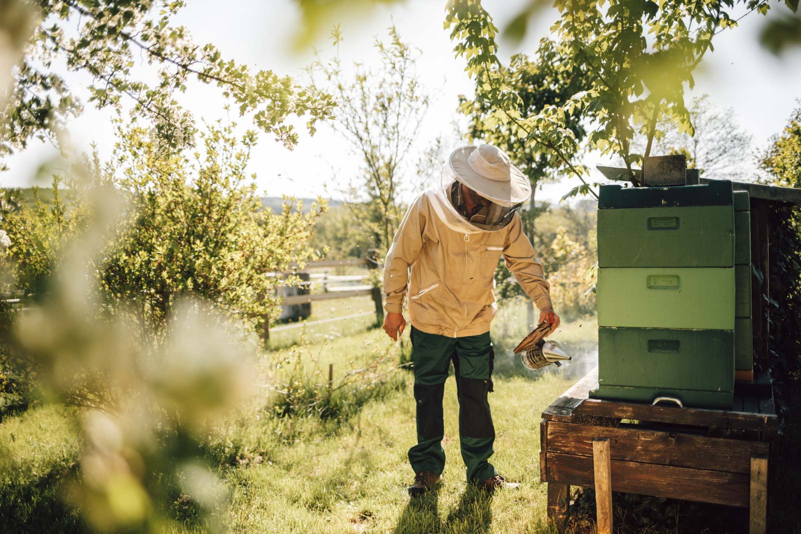 Imker an seinen Bienenstöcken